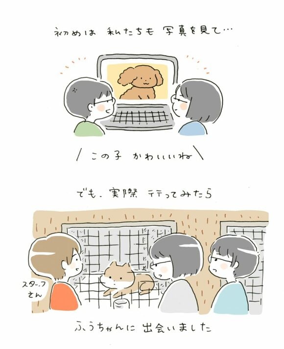 ミグノンのサイト