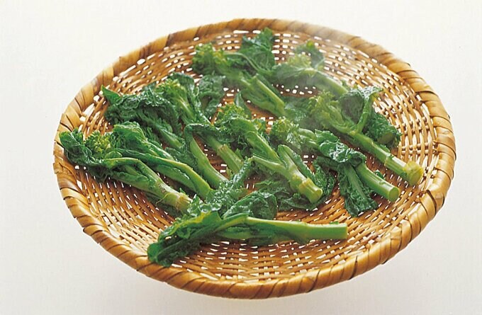 ゆでた菜の花をザルに広げる