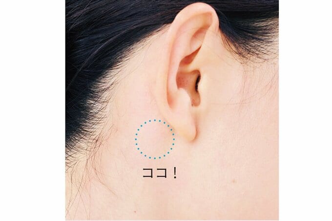 女性の耳と耳下