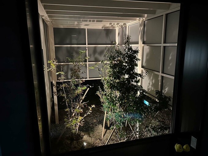 夜の坪庭