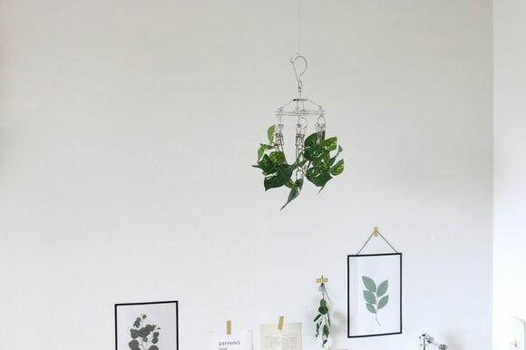 ハンギンググリーン