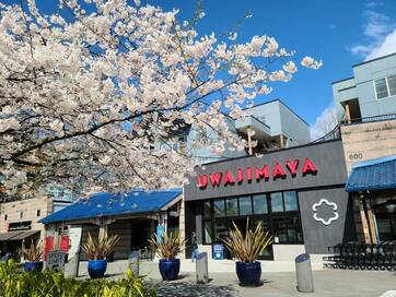 アメリカで実感するアジア系ヘイトクライム。子をもつ親として思うこと