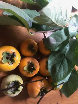 大好きな柿の季節。実も葉もすべてをおいしくいただく方法＜暮らしっく＞