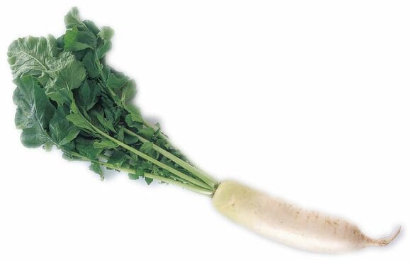 大根は部位ごとに適した料理が違う