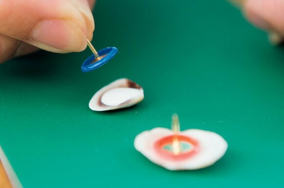 2日ほどおいて乾燥させる