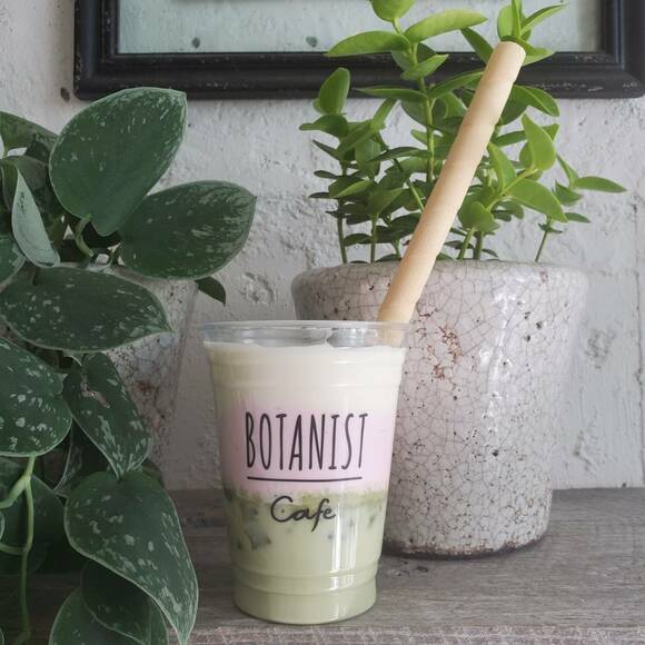 チーズフォームのアイスチョコレート