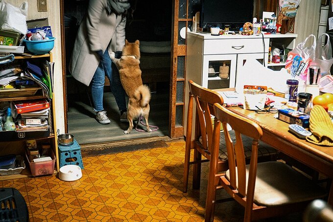 女性と立ち上がる犬