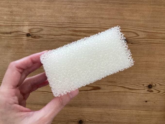 スポンジの裏面