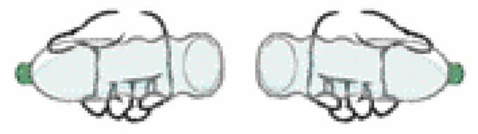 イラストペットボトル2本