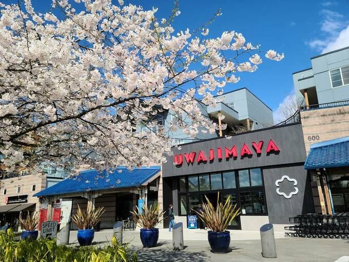 スーパーマーケットの宇和島屋の近く