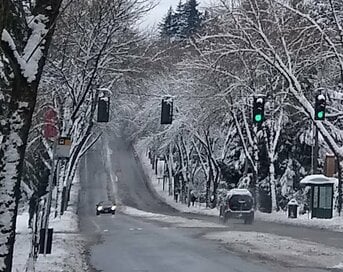 大雪が降ると自主的に休み！シアトル人たちのユニークな理由