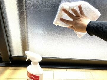 春の「カビ」対策は今が狙い目。寝室やカーテン、湿度に気をつけてもう悩まない