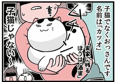 赤ちゃんの家で「重くて大きい」ペットを飼うことに。気づけば“父”のポジションが転落し…＜転生したら赤ちゃんだった＞第87話