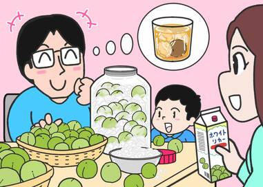 家族で梅しごと、完成までワクワク…なにかが違う？5つ見つけたらエラい間違い探し