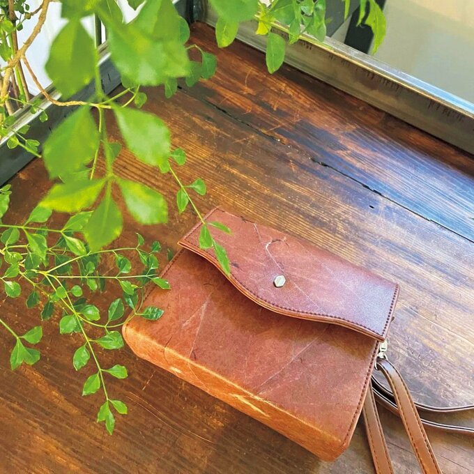 グリーンとバッグ