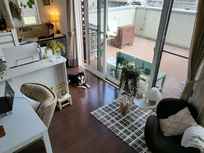 ペットとリビング