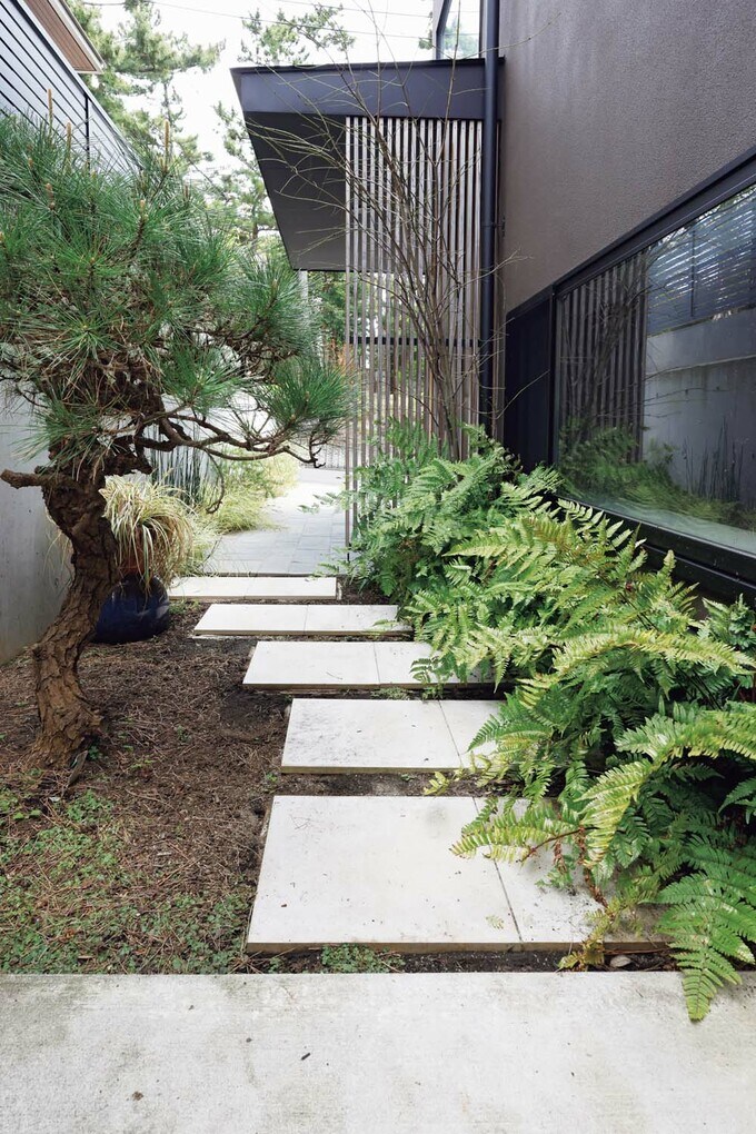 隣地との間の細い通路