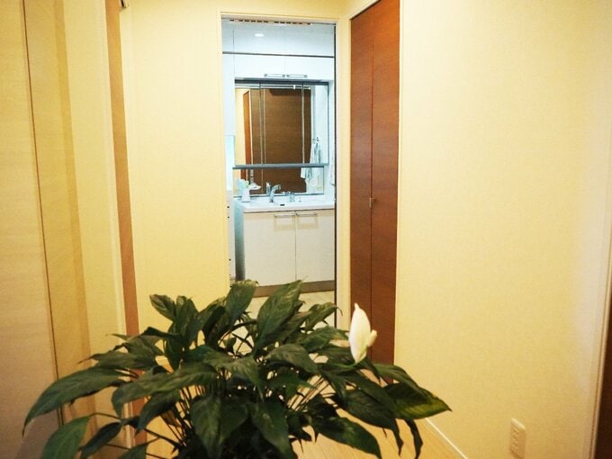 玄関からすぐの手洗い動線