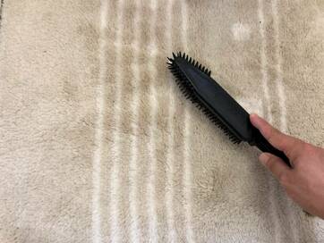 カーペットの髪の毛がゴッソリ。ダイソーのお掃除ブラシがすごい！