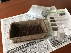 プランターに1回分の土(全体の1/3量)を入れます