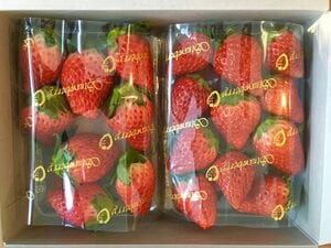 和田農園さんにて。