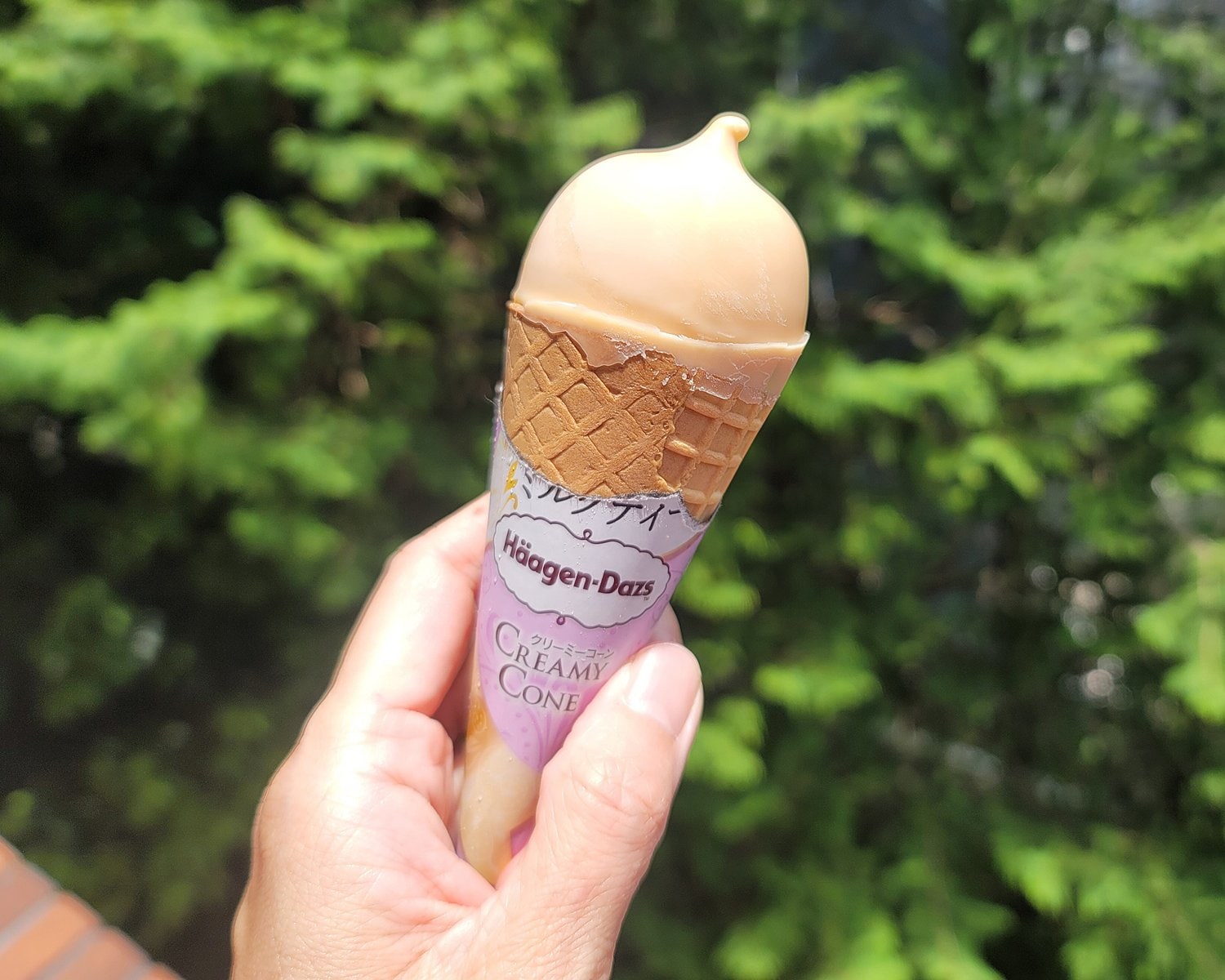 “今食べたい”ハーゲンダッツ8種。限定発売の「コーン」は見つけたら即買うべし！ オンライン）