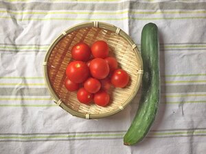 IMG_5961-e1467686033637