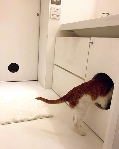洗面カウンター下の収納内部にネコのトイレを設置