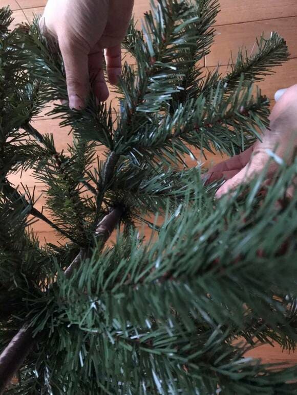 枝部分を開く様子