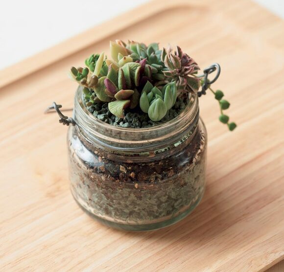 寄せ植えでにぎやかに！