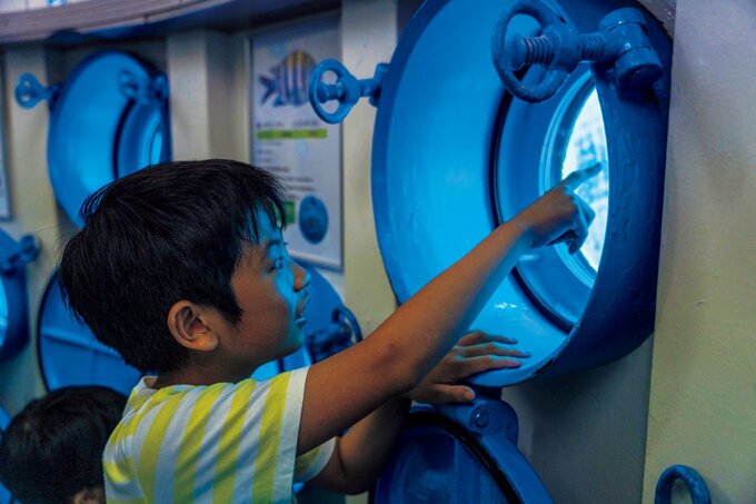 お魚を見る子ども