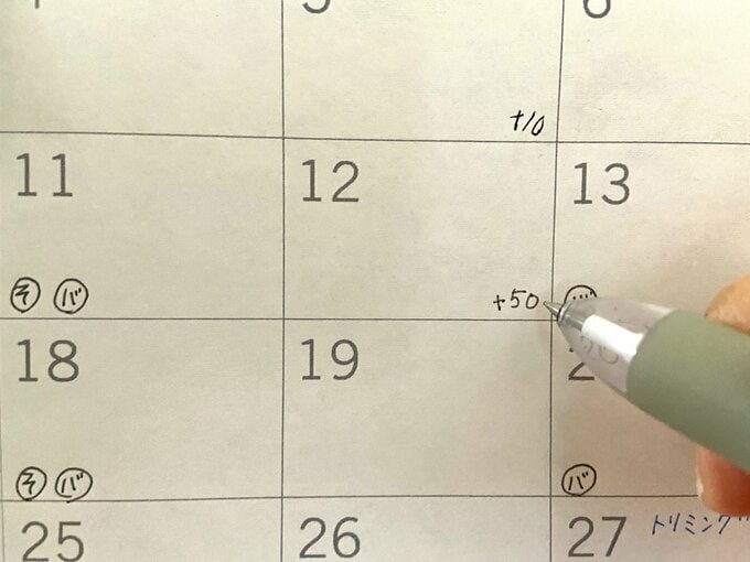 ポイントはカレンダーに書く自己申告制