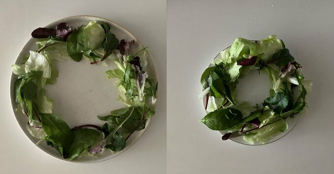 同じ量のリーフ類でもお皿の大きさによって印象は変わる　左は直径23㎝　右は直径17㎝