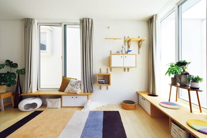 リビングにもネコたちが見下ろせる箱型ステップを設置