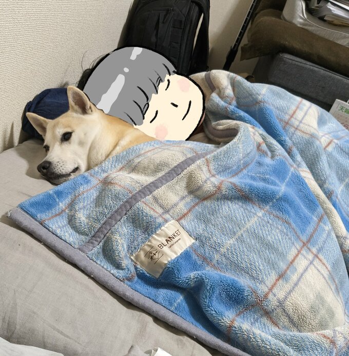 オットに添い寝するふうちゃん