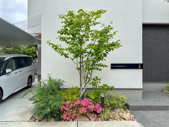 玄関前の「小さな庭」で暮らしにうるおいを。家族も行き来する人も  