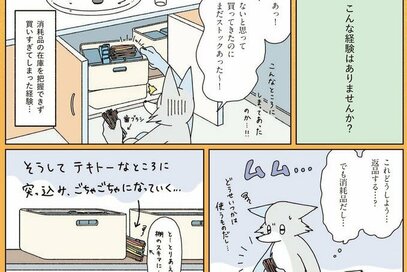 元・片づけられない漫画家がたどり着いた”収納グッズ”。「家にあるのに買ってしまった！」を解決