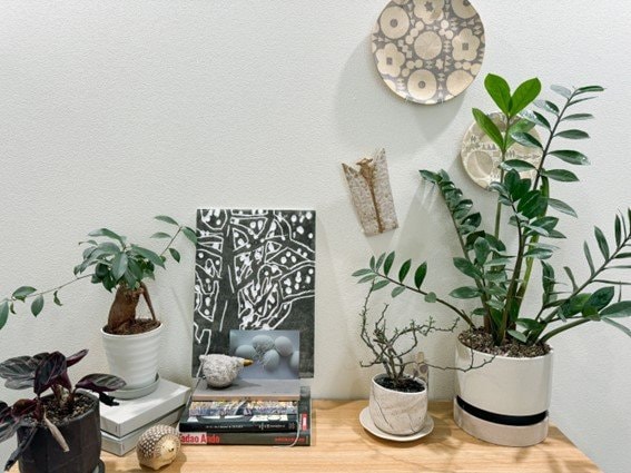 お皿のインテリア