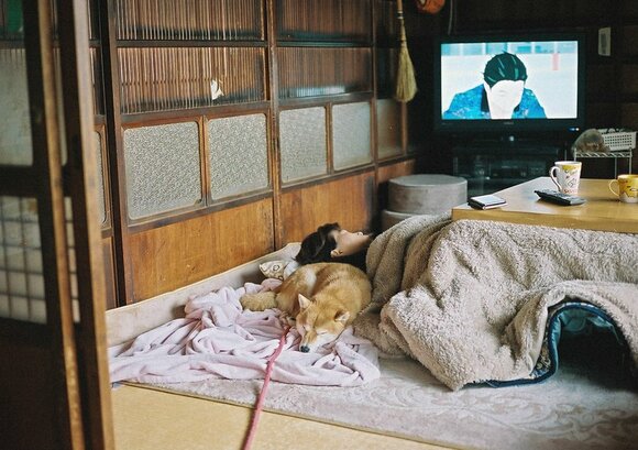 これぞ健康体！