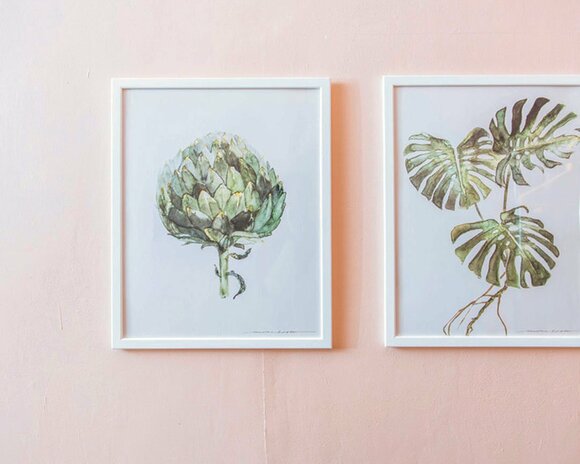 植物のポスター