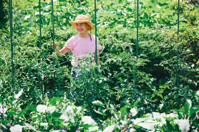 畑仕事をする田中ナオミさん
