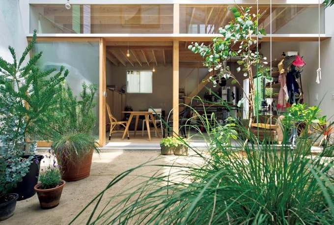 植物越しにリビングを眺める