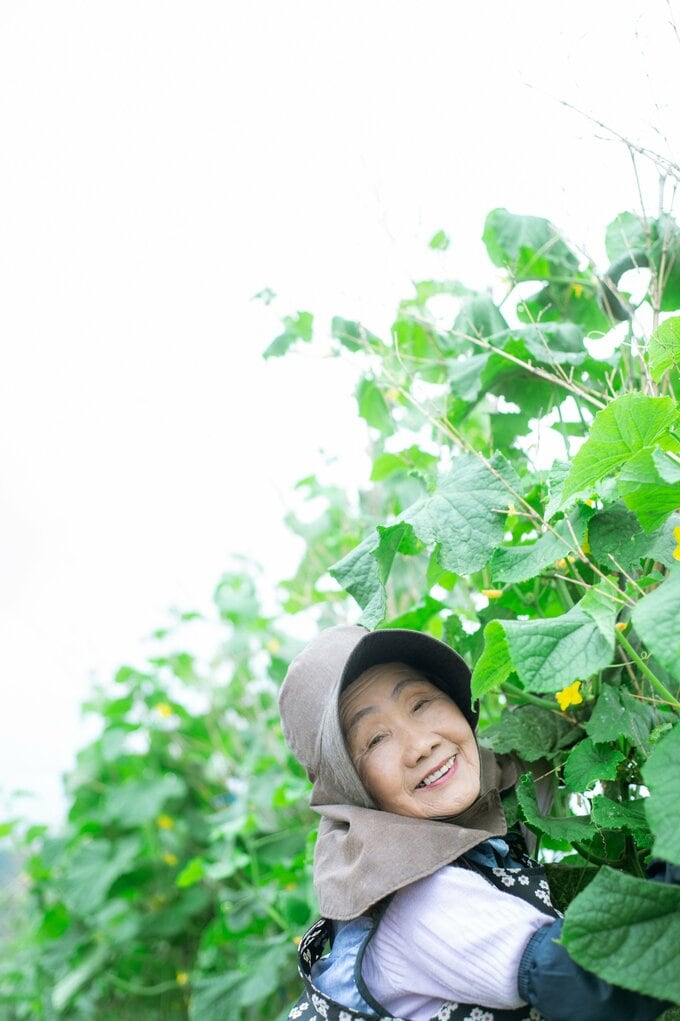 ひろちゃん農園 ひろちゃん