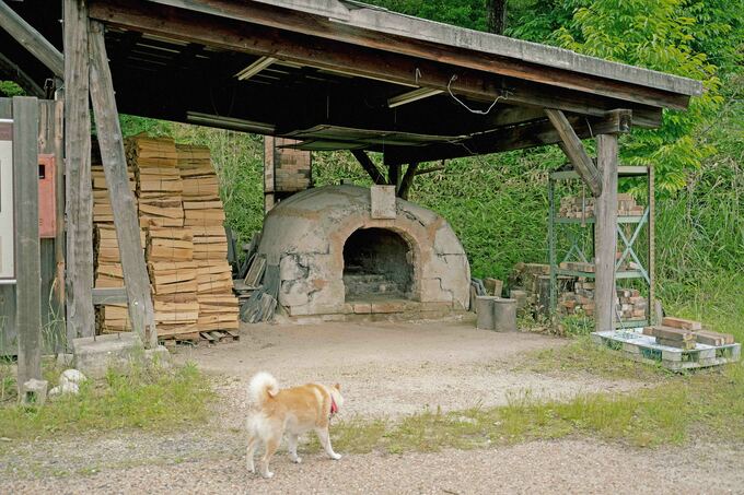 窯と犬