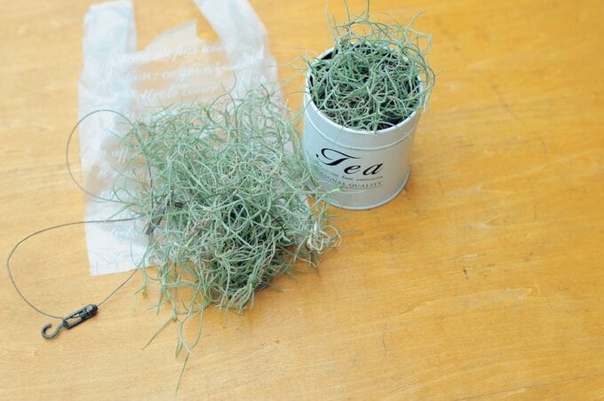 お土産用グリーン