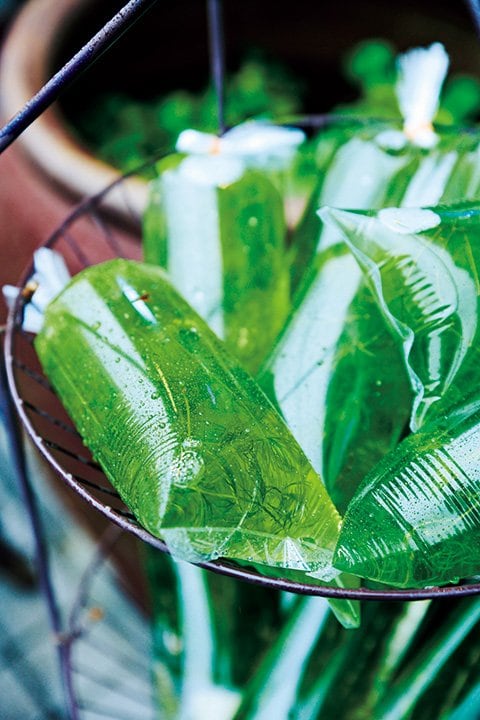 需要の高いキンギョソウ