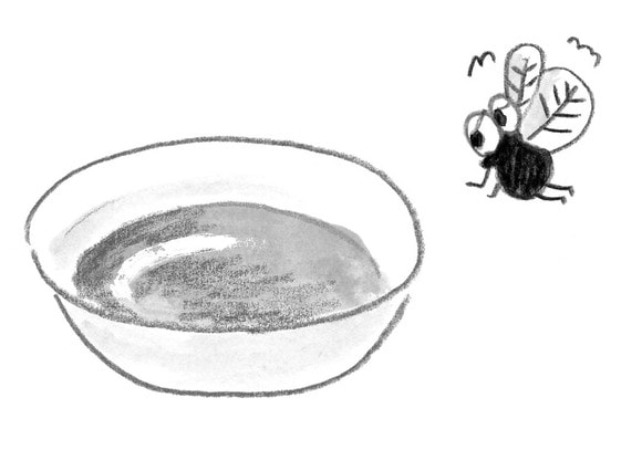 砂糖を入れた緑茶でハエよけ