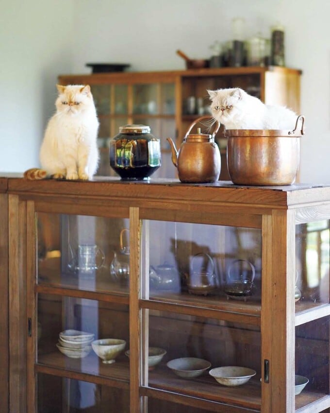 キッチンの銅鍋にすすがイン