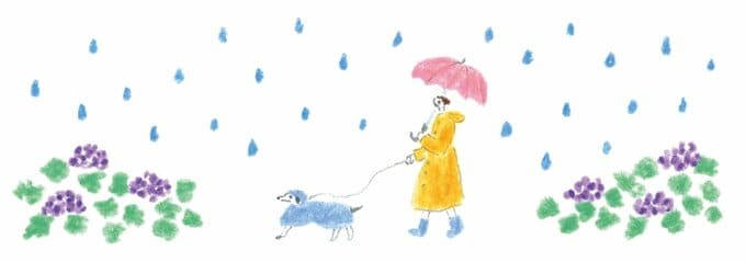 雨の中散歩をする人