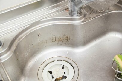 ゴシゴシこするのはNG！プロが教える、キッチンのしつこい黒カビがスッキリ落ちるおすすめアイテム